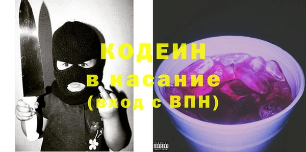 apvp Каменка