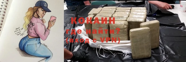 apvp Каменка