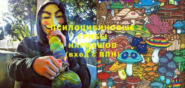 дживик Карталы