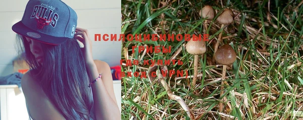 PSILOCYBIN Карпинск