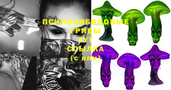 PSILOCYBIN Карпинск