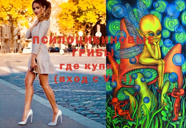 apvp Каменка