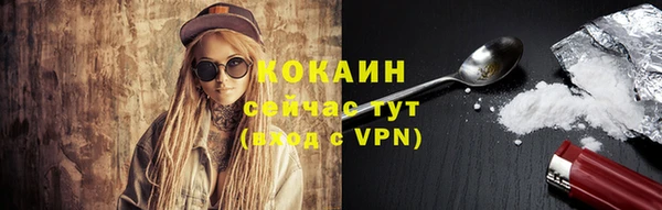 apvp Каменка